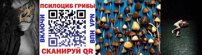 Галлюциногенные грибы прущие грибы  где можно купить   omg онион  Белогорск 